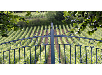 Domaine Michèle et Patrice Rion