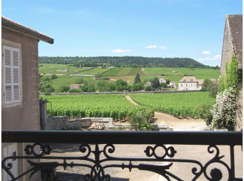 Domaine Albert Grivault