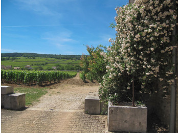 Domaine Albert Grivault
